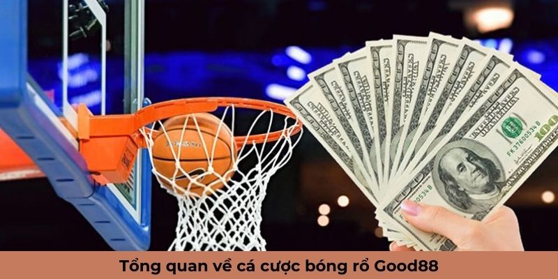 Tổng quan về cá cược bóng rổ Good88