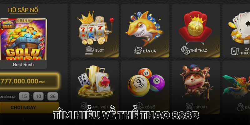 Thể thao là mục chơi có đông đảo người tham gia nhất hiện tại