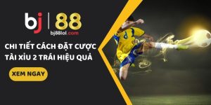 tài xỉu 2 trái là gì