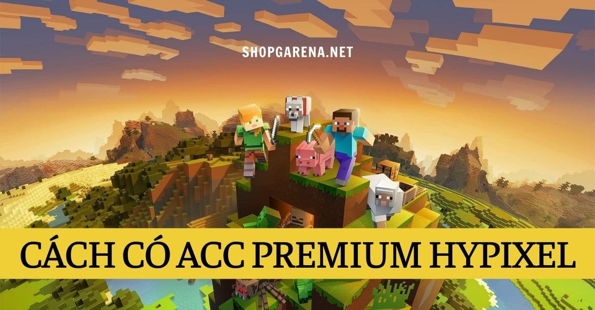 Cach Co Acc Premium