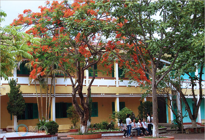 mơ thấy trường học đánh lô đề con gì