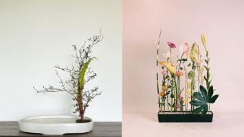 Địa chỉ dạy cắm hoa Ikebana tốt nhất tại Hà Nội