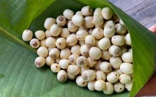 Địa chỉ mua hạt sen khô chất lượng, uy tín nhất Hà Nội