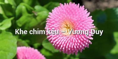 Bài văn phân tích tác phẩm 