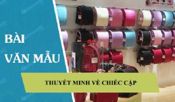 Bài văn thuyết minh về chiếc cặp sách (lớp 8) hay nhất