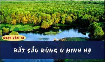 Bài soạn 
