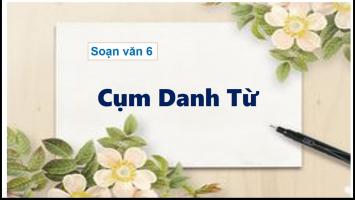 Bài soạn 