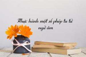 Bài soạn Thực hành một số phép tu từ ngữ âm (Ngữ Văn 12) hay nhất