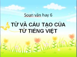 Bài soạn 