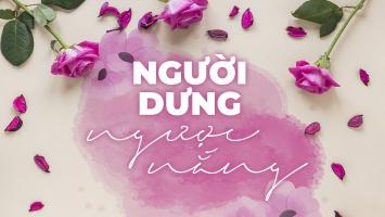 Bài thơ viết về người dưng hay nhất