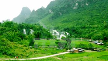 Bài văn phân tích bài thơ Gò me (Ngữ văn 7) hay nhất