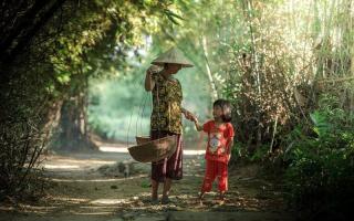 Bài văn phân tích bài thơ Mẹ của Trần Quốc Minh (Ngữ văn 11) hay nhất