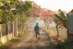 Bài văn cảm nhận về bài thơ 