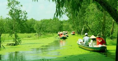 Bài văn phân tích Đi trong hương tràm (Ngữ văn 10 - sách Cánh diều) hay nhất