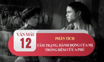 Bài văn phân tích diễn biến tâm trạng và hành động của Mị trong đêm cứu A Phủ trong 