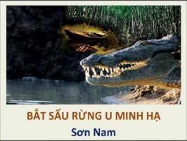 Bài văn phân tích tác phẩm 