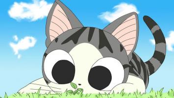 Bộ anime về mèo hay nhất