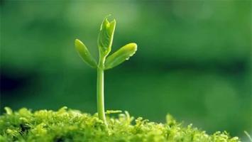 Câu nói hay nhất có thể thức tỉnh tâm hồn bạn