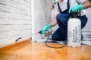 Công ty dịch vụ diệt muỗi tốt nhất tại TP. HCM