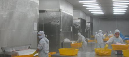 Công ty thiết kế bảo ôn đường ống kho lạnh uy tín nhất TP. HCM
