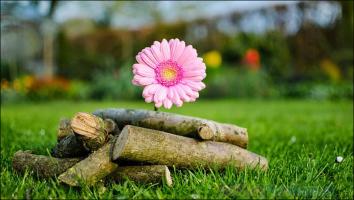 Cuốn sách về kỹ năng giải quyết vấn đề hay nhất