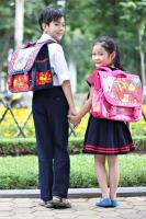 Dàn ý bài văn tả chiếc cặp sách (lớp 4) hay nhất