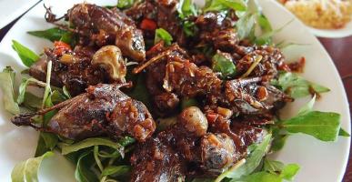 Địa chỉ ăn chim mía ngon nhất tại tỉnh Bình Định