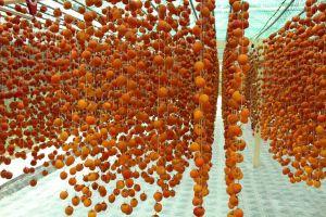Địa chỉ bán hồng treo uy tín tại TP. Đà Lạt, Lâm Đồng