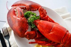 Địa chỉ bán tôm hùm Alaska uy tín, chất lượng nhất tỉnh Thanh Hóa