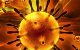 điều cần biết về virus corona gây viêm phổi cấp ở Vũ Hán