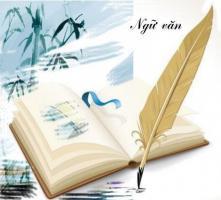 Giáo viên dạy online Văn tốt nhất hiện nay