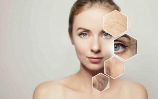 Kem dưỡng chứa collagen chống lão hóa hiệu quả nhất hiện nay