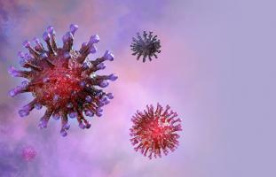 Lầm tưởng tai hại về Virus Corona mới