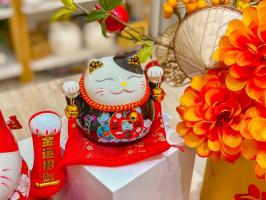 Địa chỉ mua mèo thần tài uy tín, chất lượng nhất tỉnh Thừa Thiên Huế