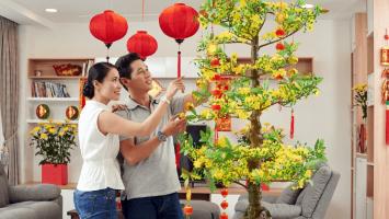 Loại cây cảnh và hoa thường được trưng trong nhà vào ngày Tết
