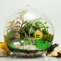 Loại cây cảnh đẹp nên trồng trong nhà