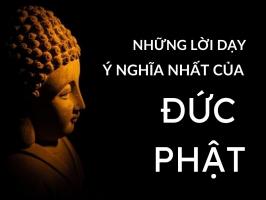 Lời dạy hay và ý nghĩa nhất của Đức Phật về cuộc sống