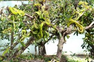 Nơi đáng sợ nhất Việt Nam