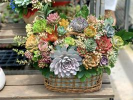 Shop bán giỏ hoa sen đá đẹp nhất tại Tp.HCM