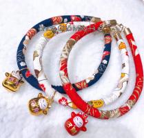 Shop bán phụ kiện thú cưng tốt nhất tại Huế