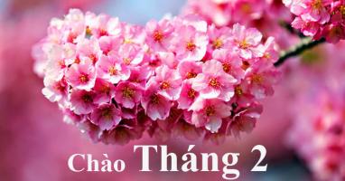 Tản văn viết về tháng Hai hay nhất