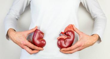 Thực phẩm chức năng hỗ trợ điều trị chứng thận yếu hiệu quả nhất