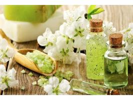Thương hiệu mỹ phẩm thiên nhiên Nhật Bản