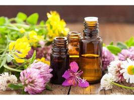 Thương hiệu tinh dầu (essential oil) tốt nhất trên thế giới