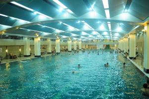 Địa chỉ dạy bơi tốt nhất tỉnh Nghệ An