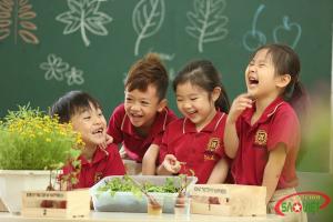 Trường mầm non quốc tế tốt nhất quận 2, TP. HCM
