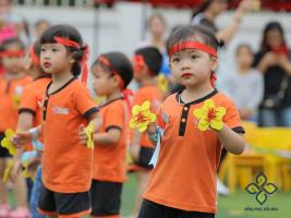 Trường mầm non tốt nhất tại Tuyên Quang
