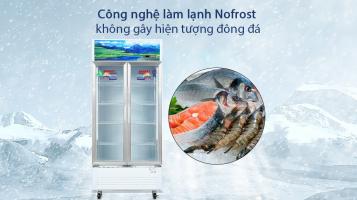 Tủ mát Sanaky tốt, được ưa chuộng nhất trên thị trường hiện nay