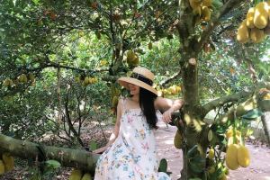 Vườn trái cây nổi tiếng nhất ở Bến Tre