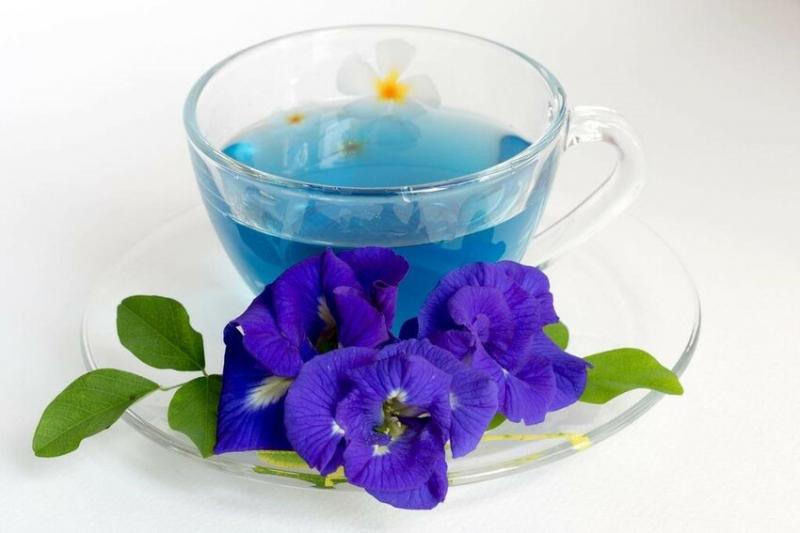Kiểm soát đường huyết